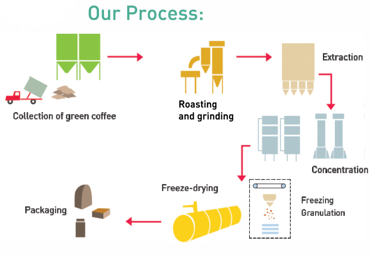 The various stages in the processing of coffee